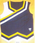 cheerleader uniform case