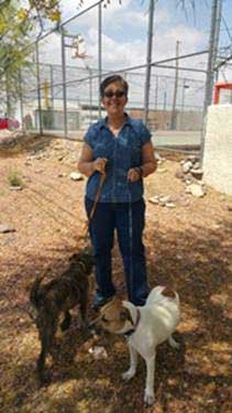 az small dog rescue 02 2