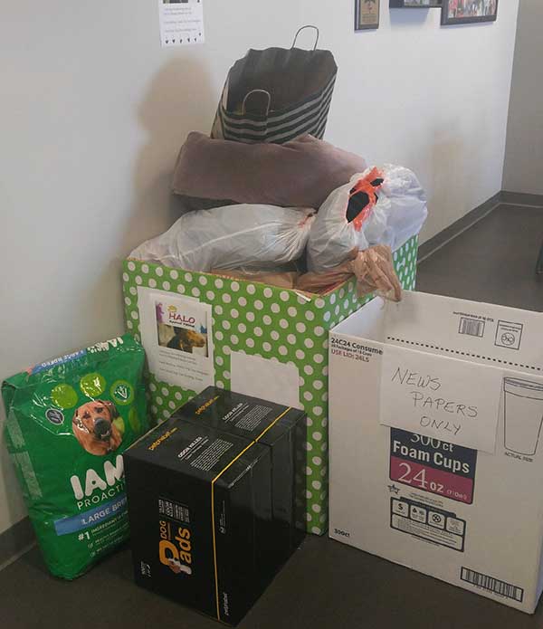 jw halo animail rescue donation 03