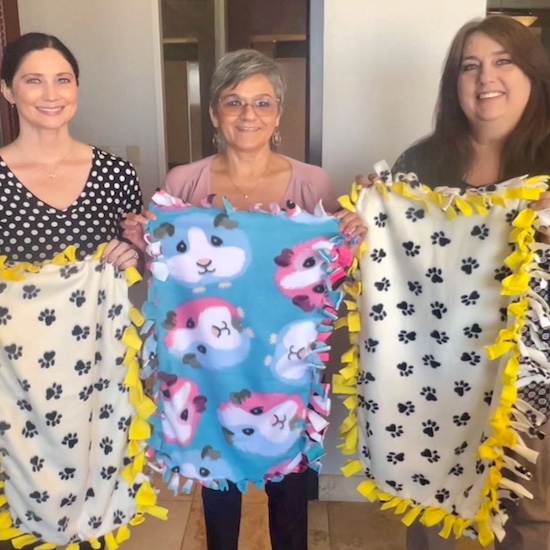 halo blankets halo blankets