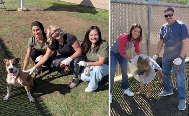 az humane 5 az humane 5