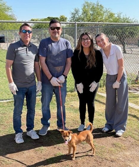 az humane society 2 az humane society 2