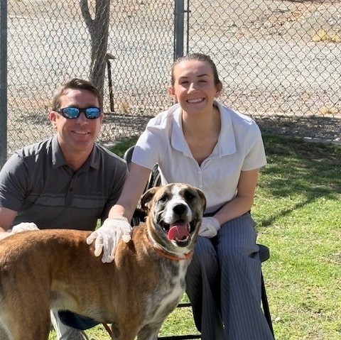 az humane society 8 az humane society 8